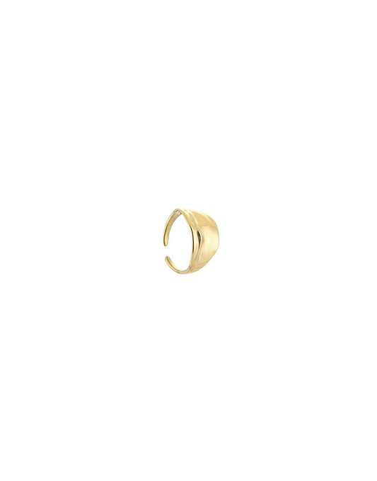 Gouden Motief - Ring