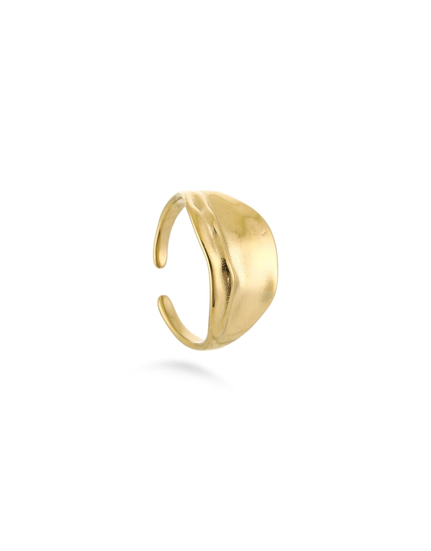 Gouden Motief - Ring - Olivia & Kate