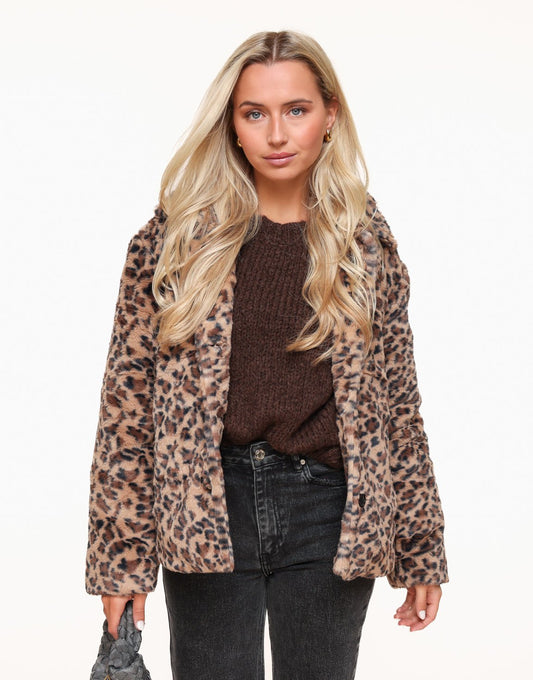 Panther Print Soft Short - Jacket - Olivia & Kate